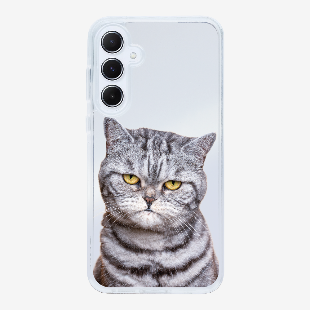 Silver Tabby (Transparent) Phone Case