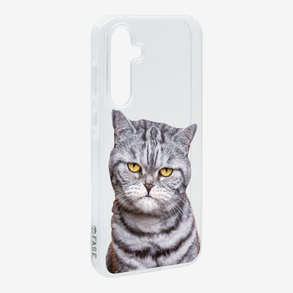 Silver Tabby (Transparent) Phone Case