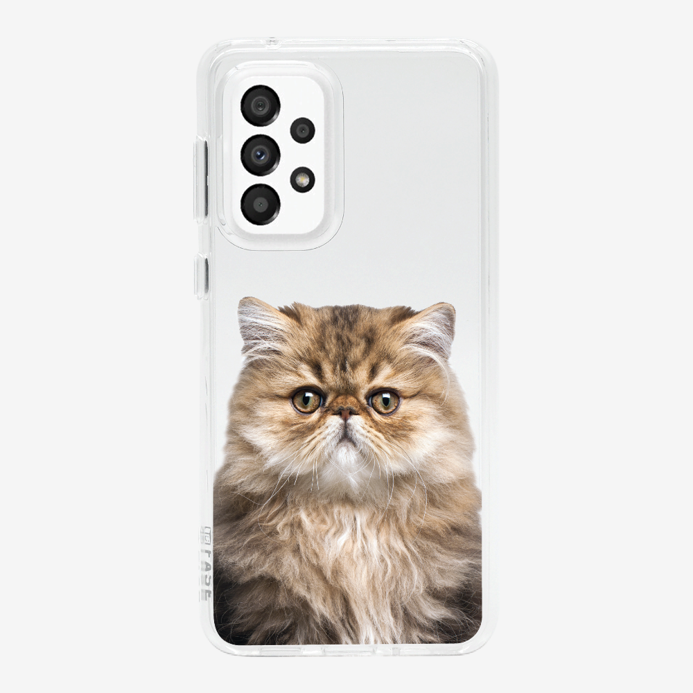 Persian Kitten (Transparent) Phone Case