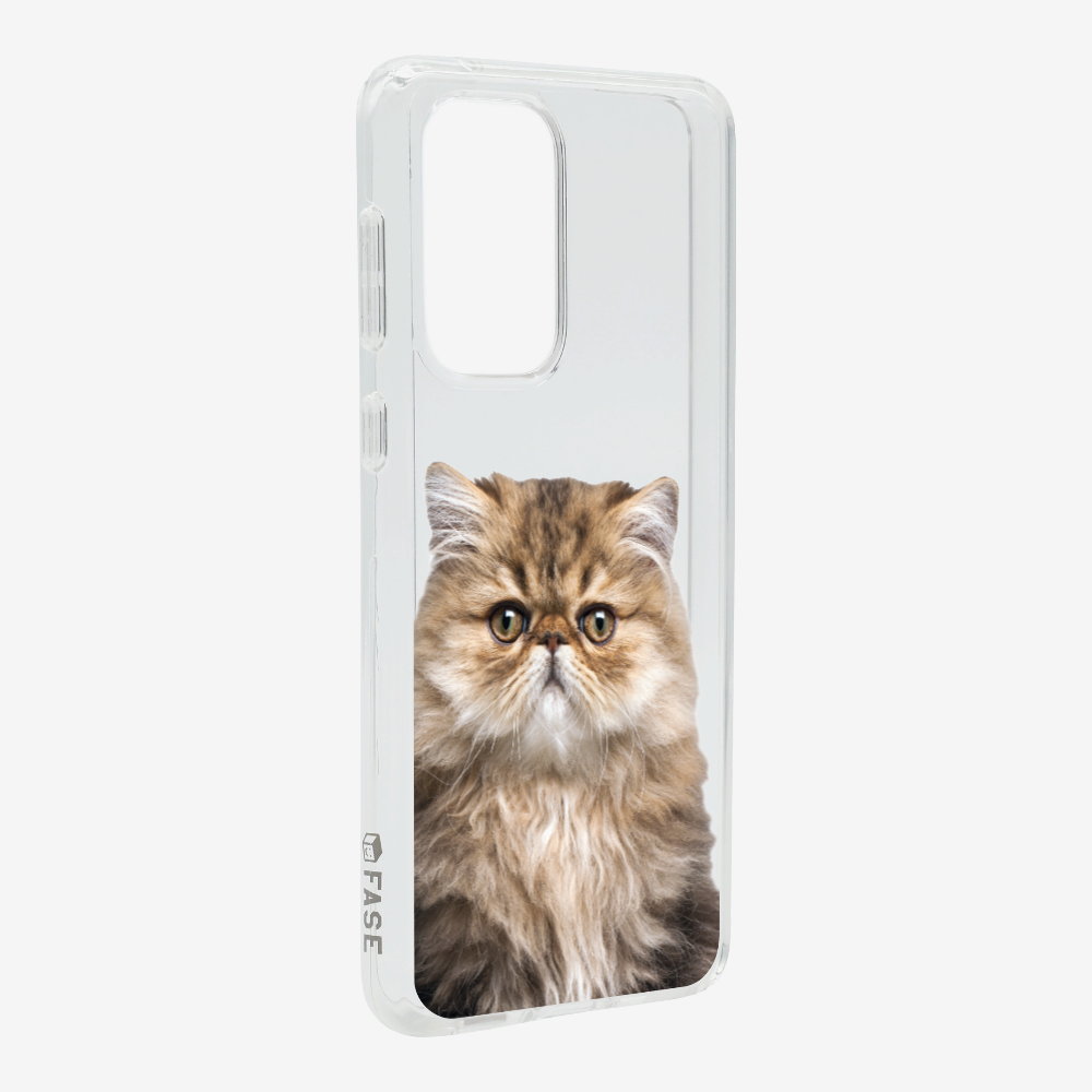 Persian Kitten (Transparent) Phone Case