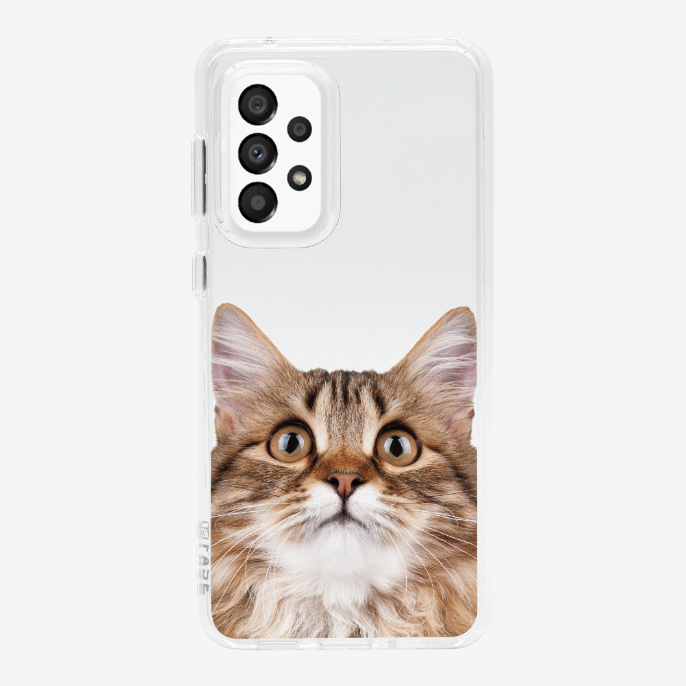 Long-haired Kitten (Transparent) Phone Case