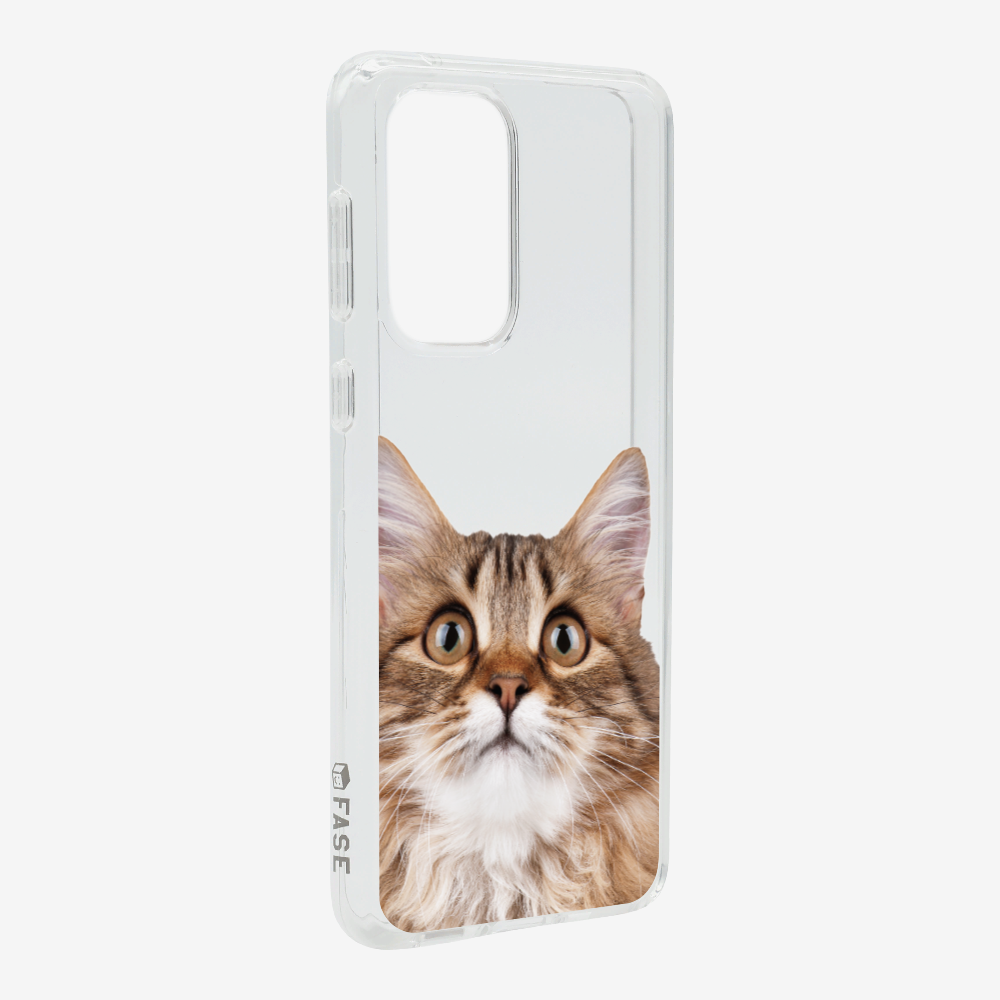 Long-haired Kitten (Transparent) Phone Case