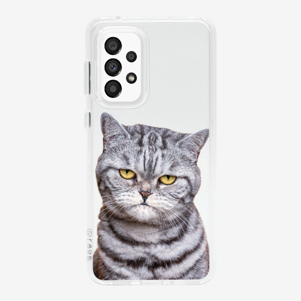 Silver Tabby (Transparent) Phone Case