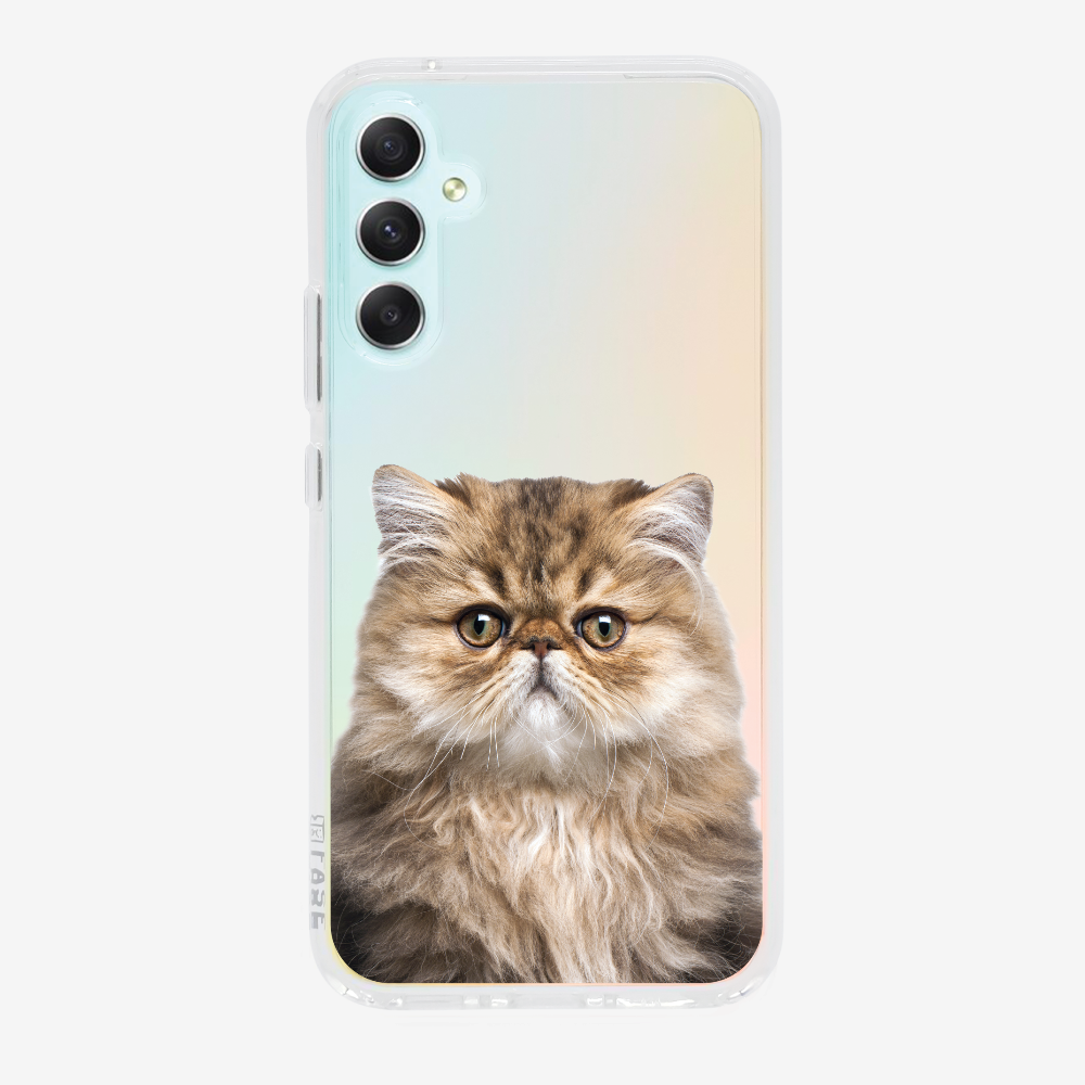 Persian Kitten (Transparent) Phone Case