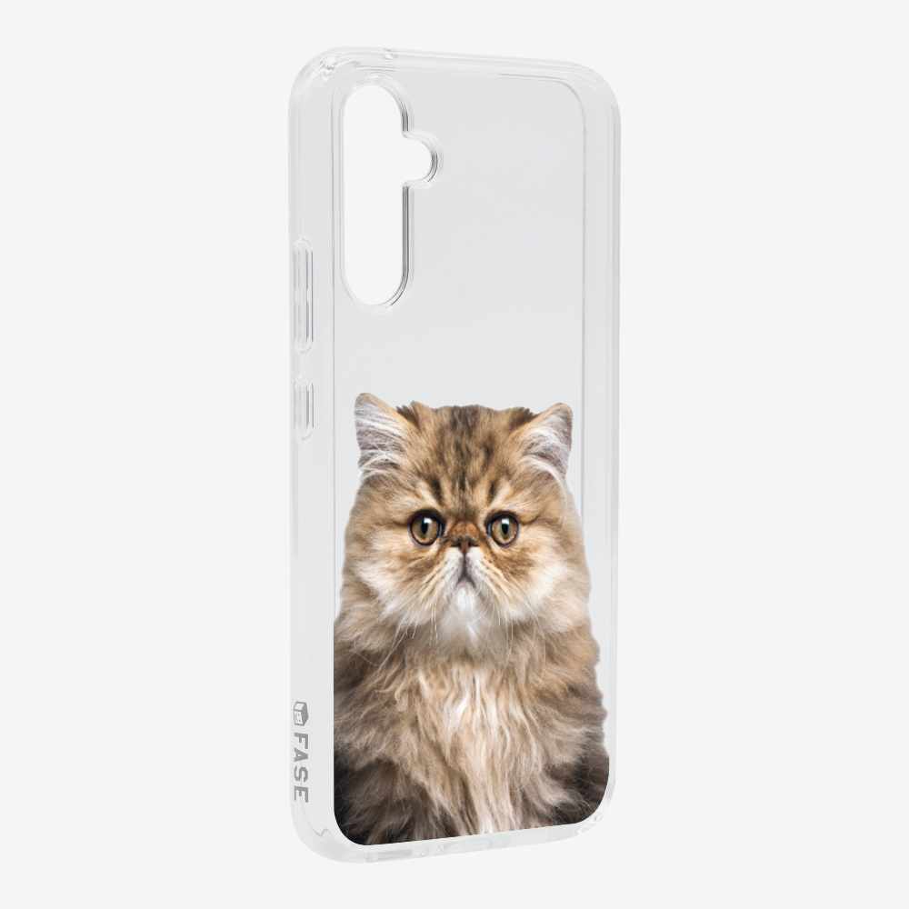 Persian Kitten (Transparent) Phone Case