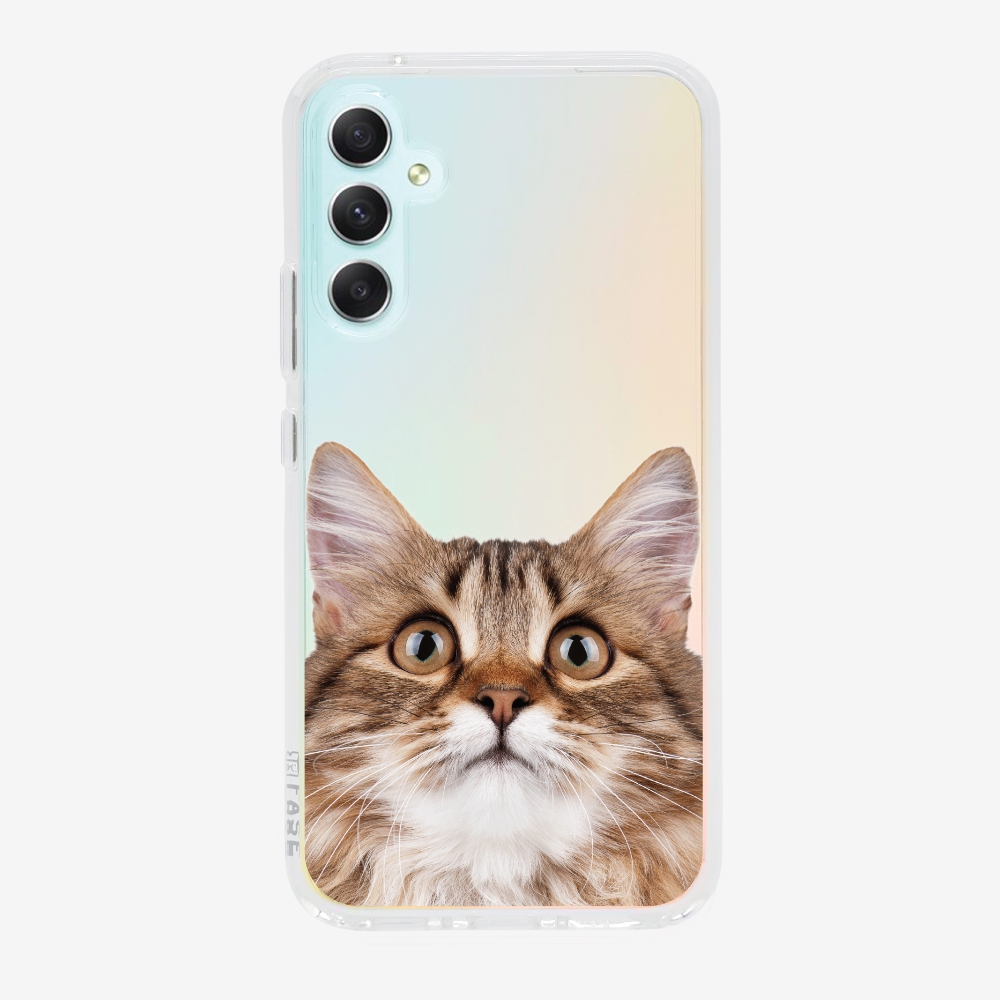 Long-haired Kitten (Transparent) Phone Case