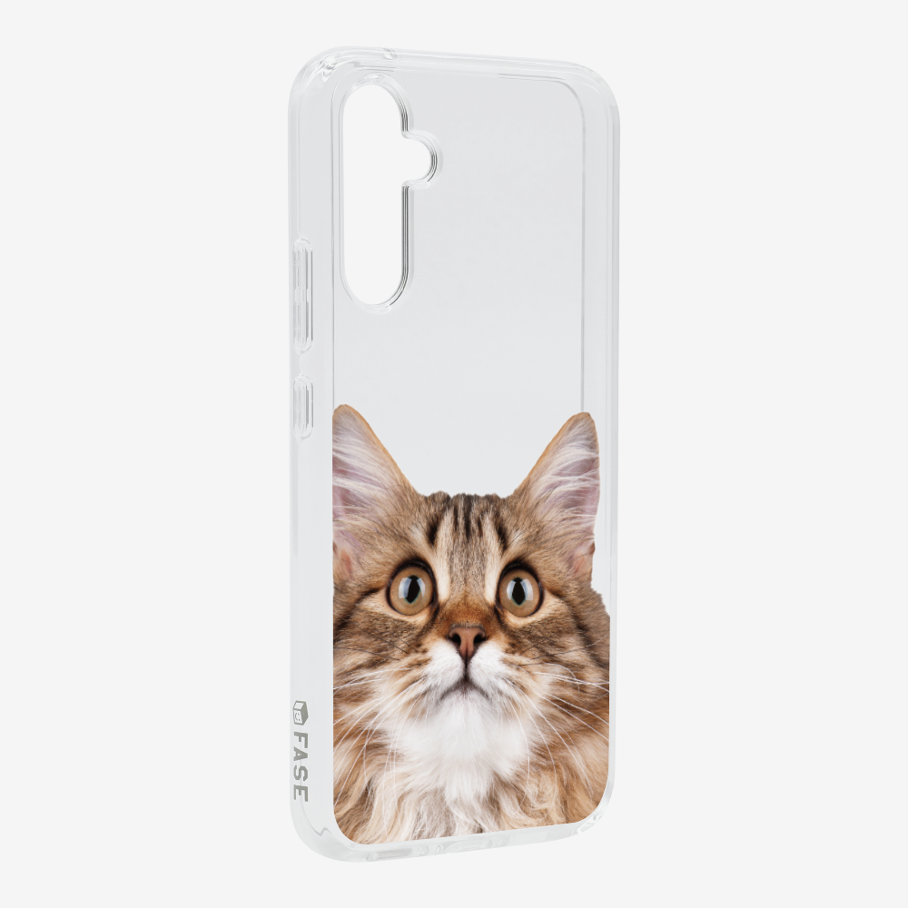 Long-haired Kitten (Transparent) Phone Case