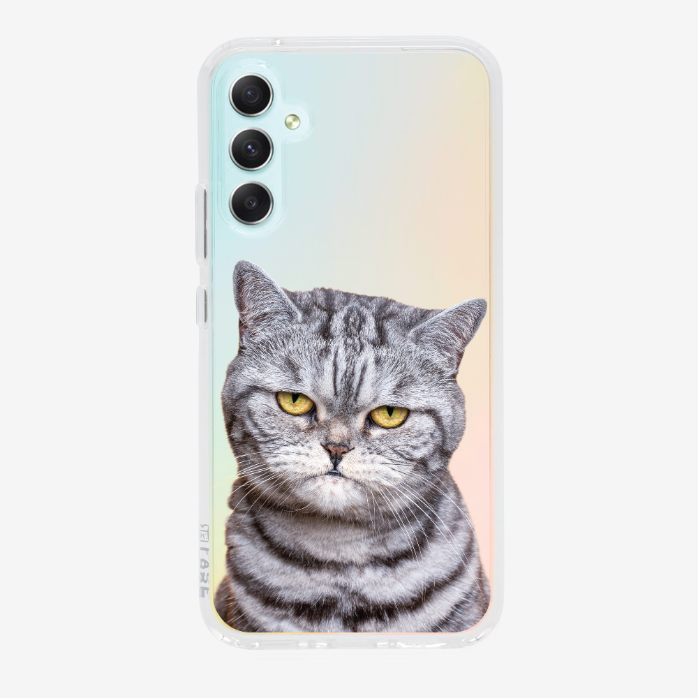 Silver Tabby (Transparent) Phone Case