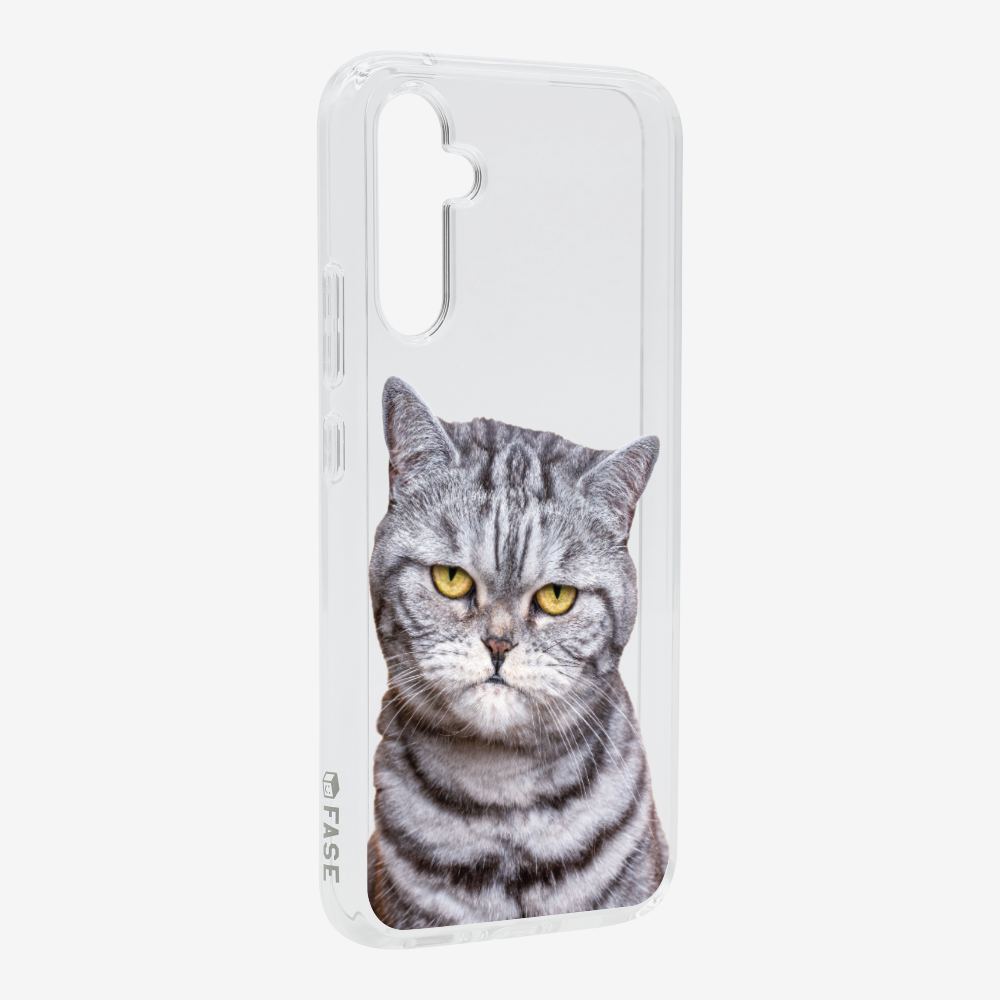 Silver Tabby (Transparent) Phone Case