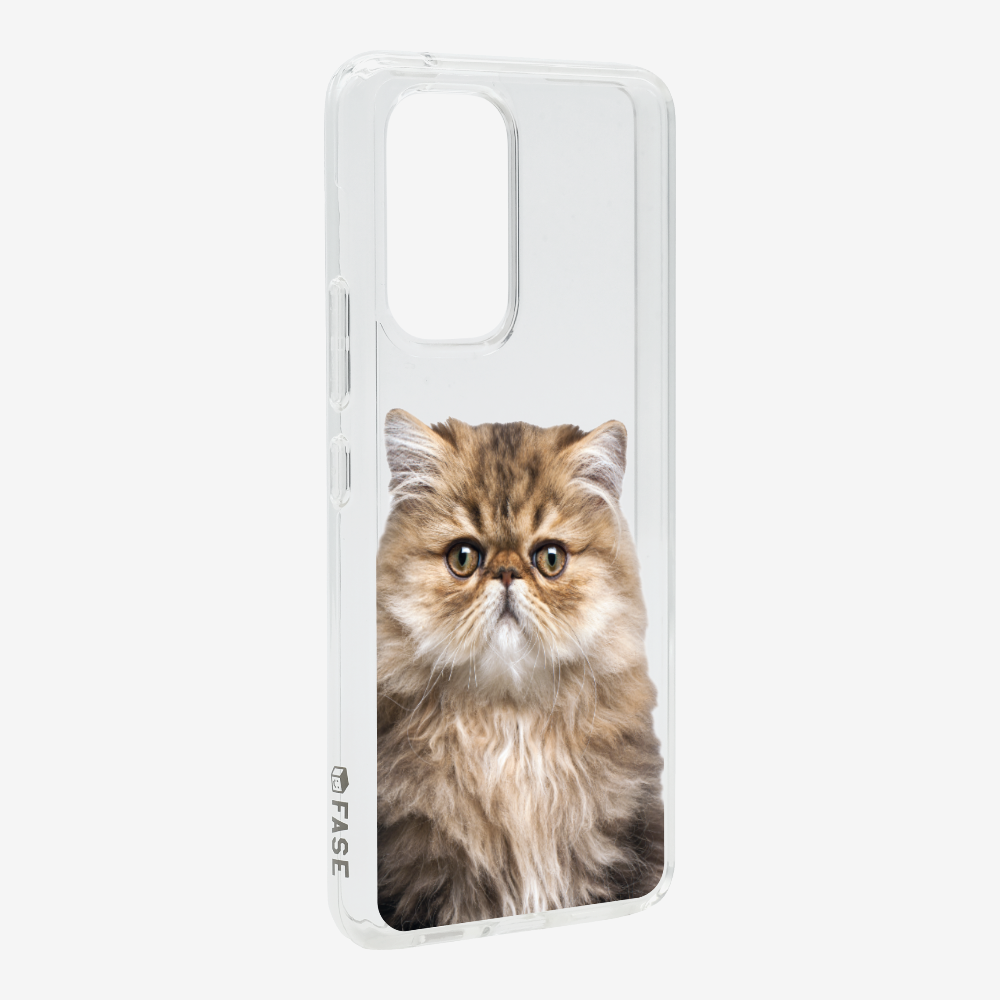 Persian Kitten (Transparent) Phone Case