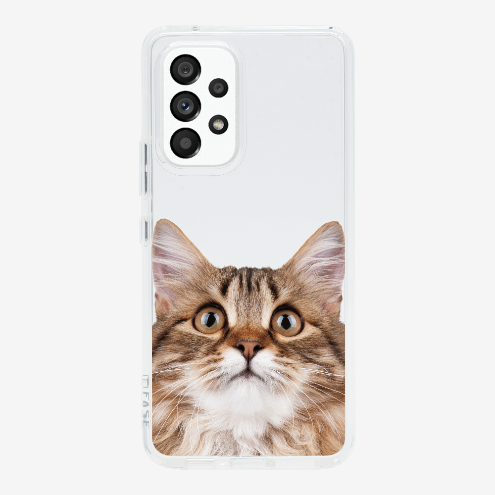 Long-haired Kitten (Transparent) Phone Case