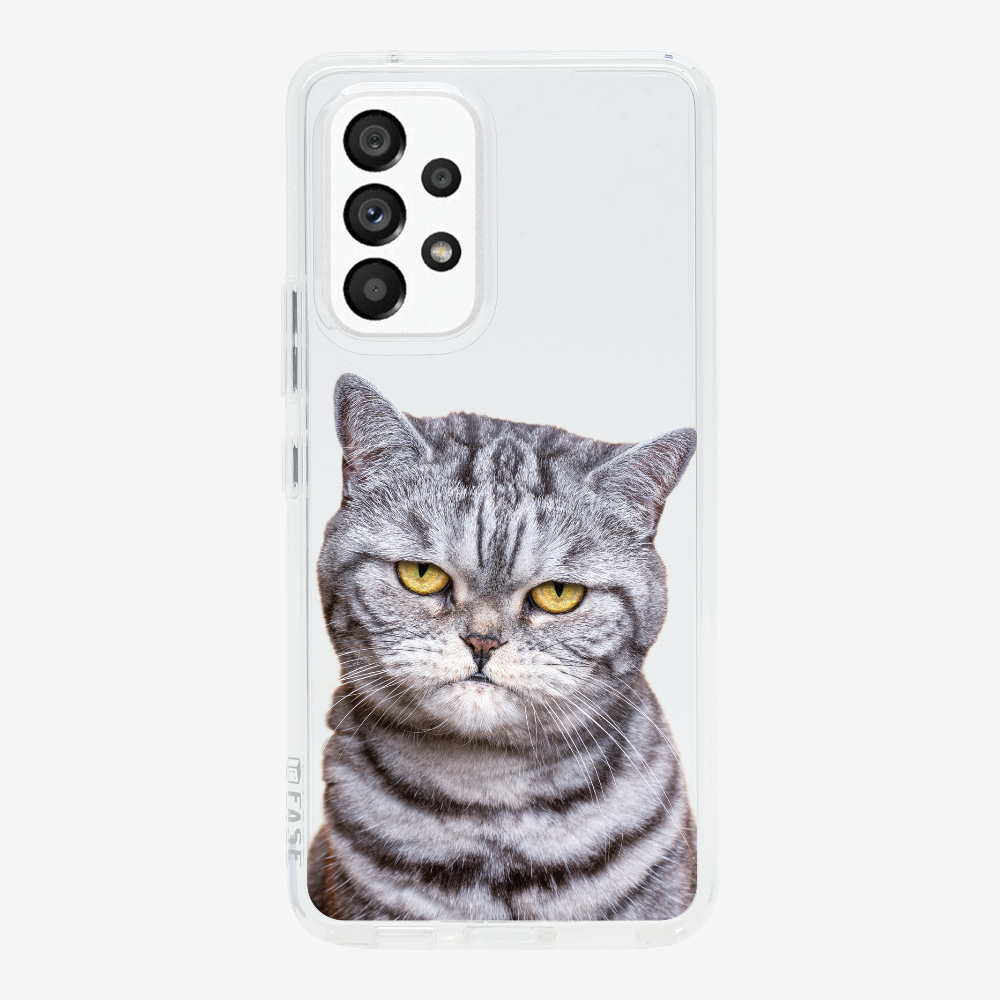 Silver Tabby (Transparent) Phone Case