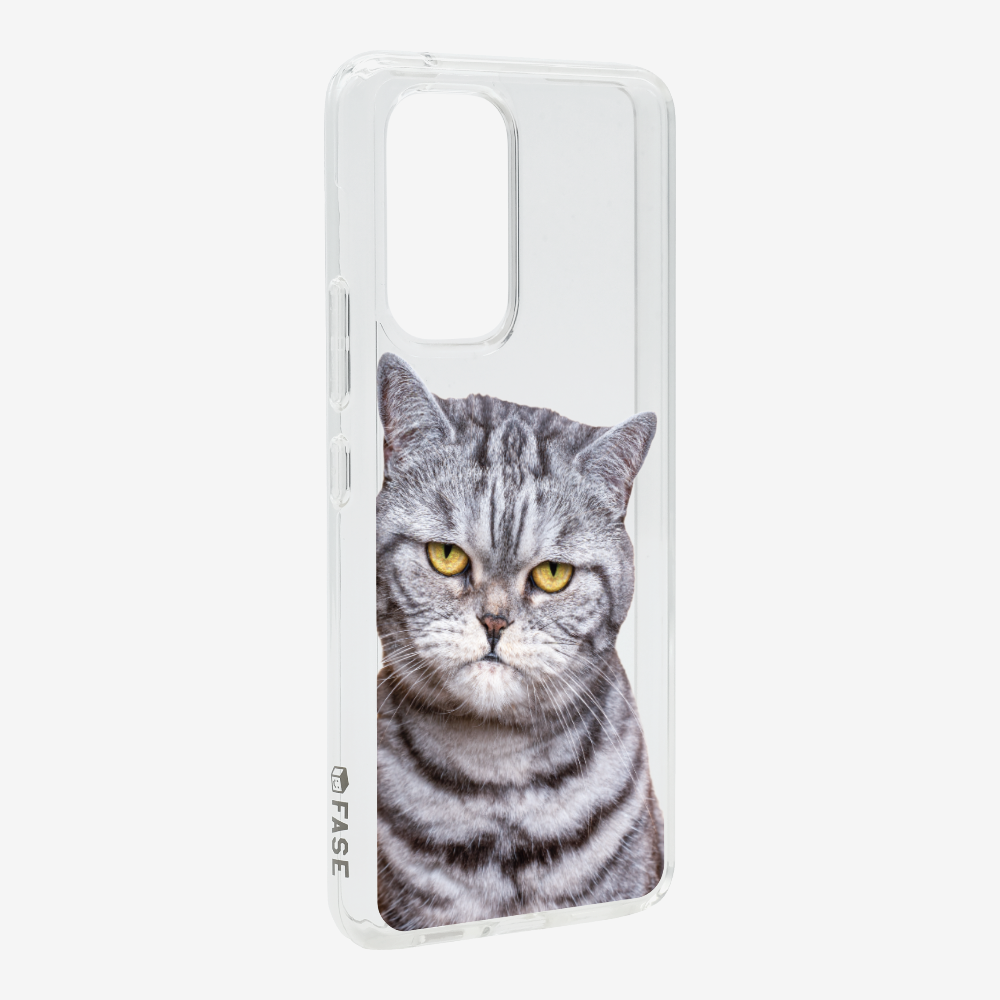 Silver Tabby (Transparent) Phone Case