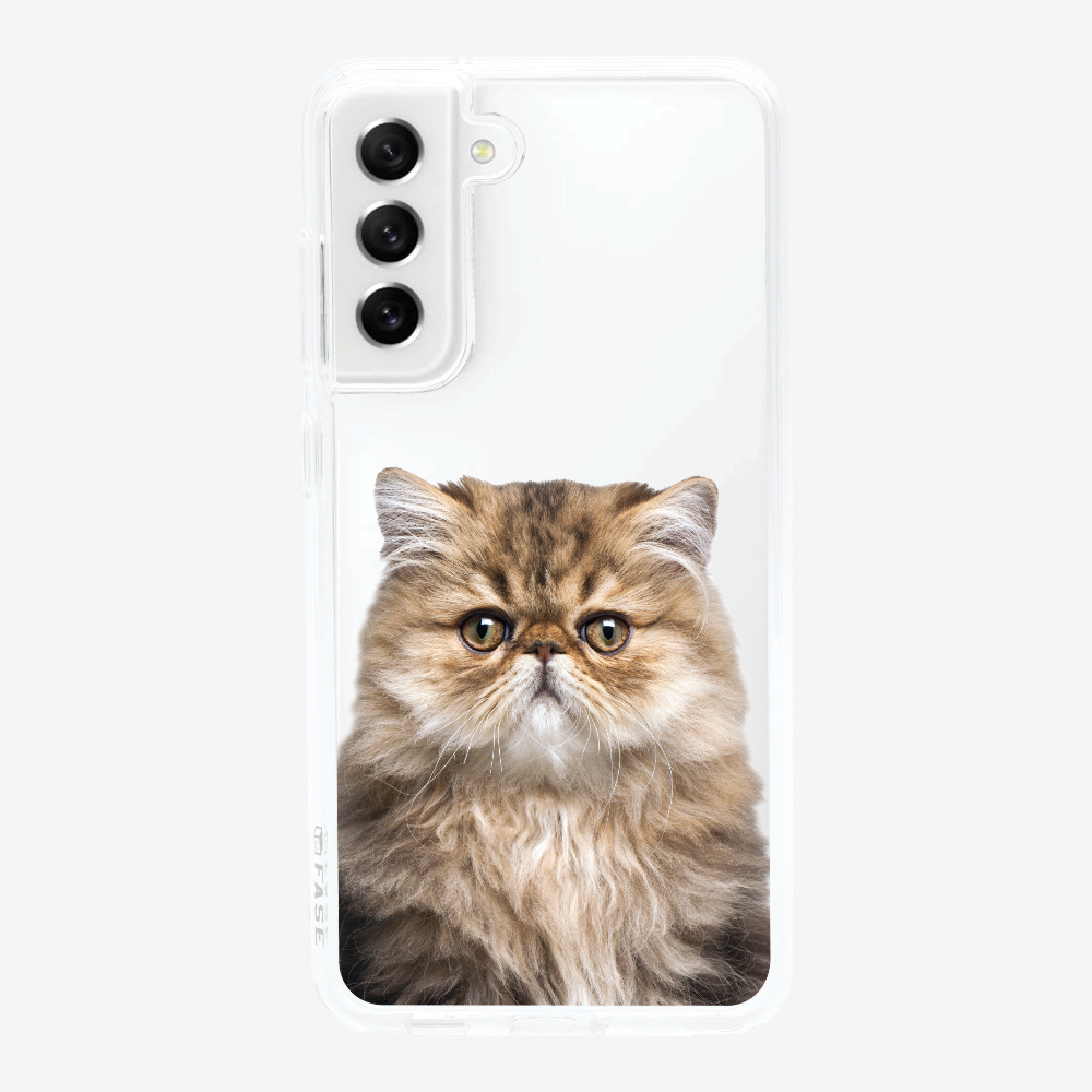 Persian Kitten (Transparent) Phone Case