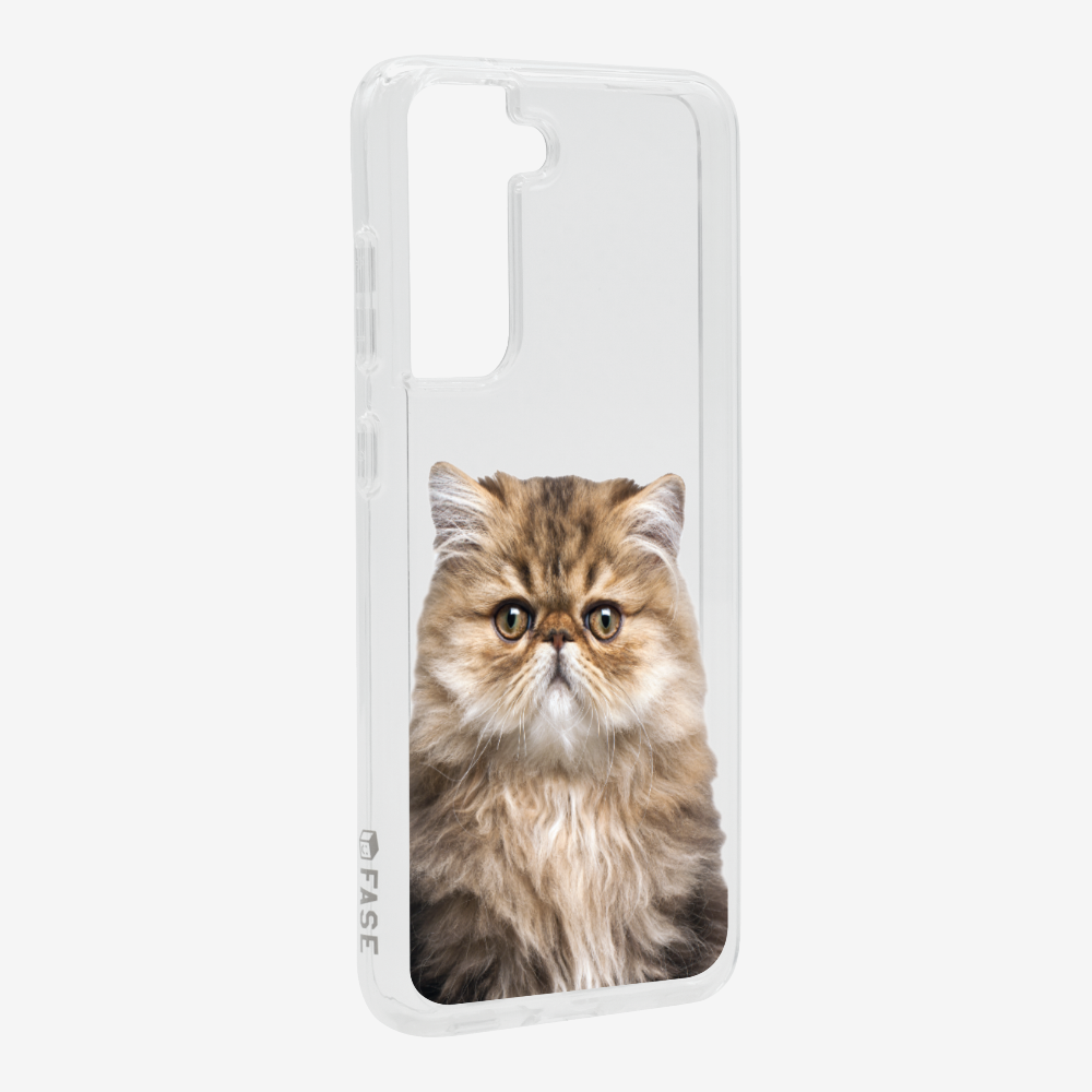 Persian Kitten (Transparent) Phone Case