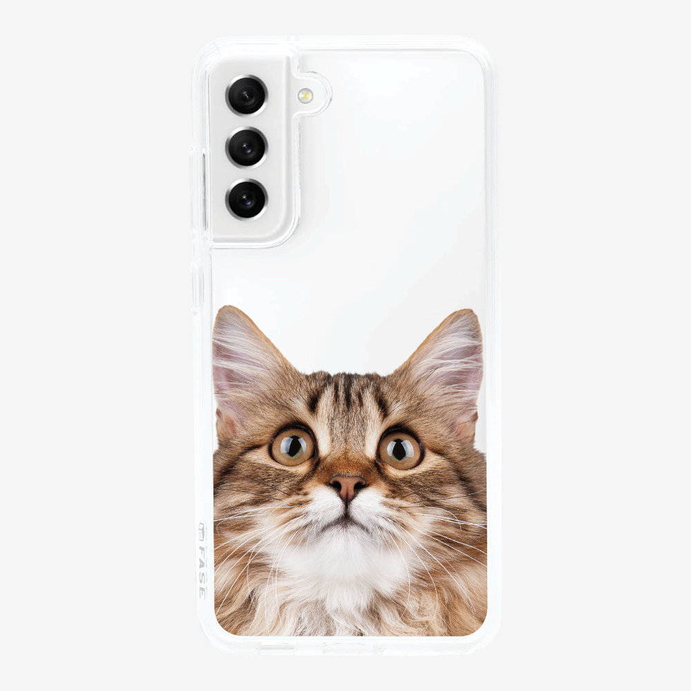 Long-haired Kitten (Transparent) Phone Case