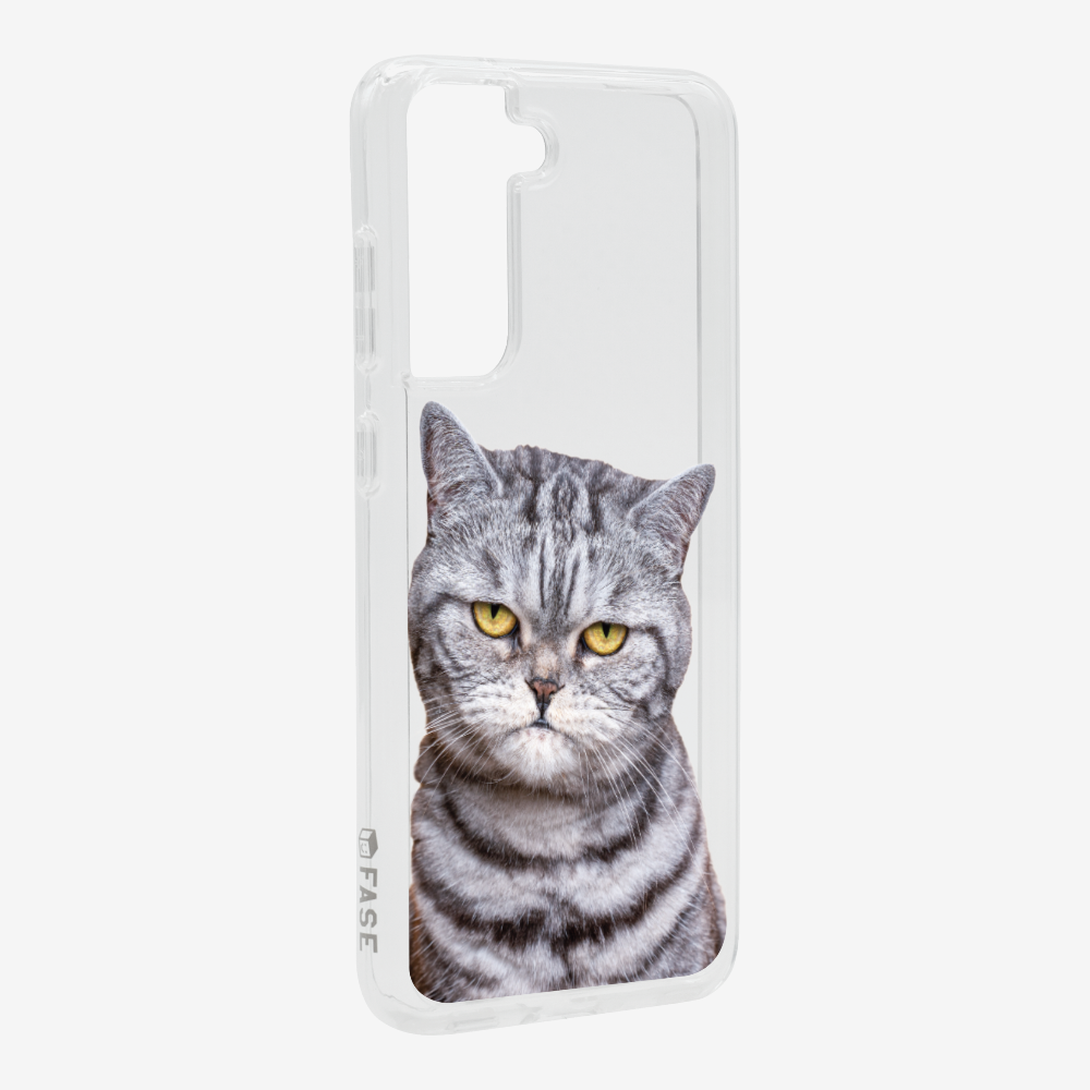 Silver Tabby (Transparent) Phone Case