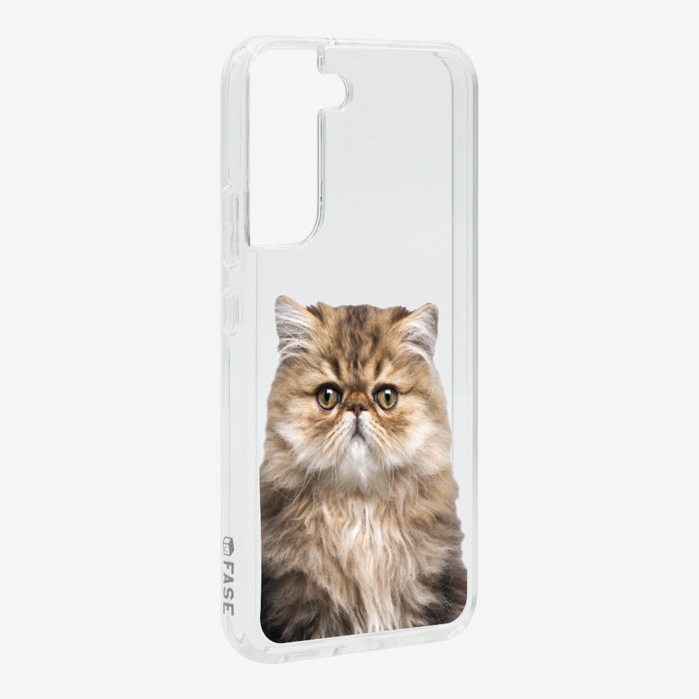 Persian Kitten (Transparent) Phone Case