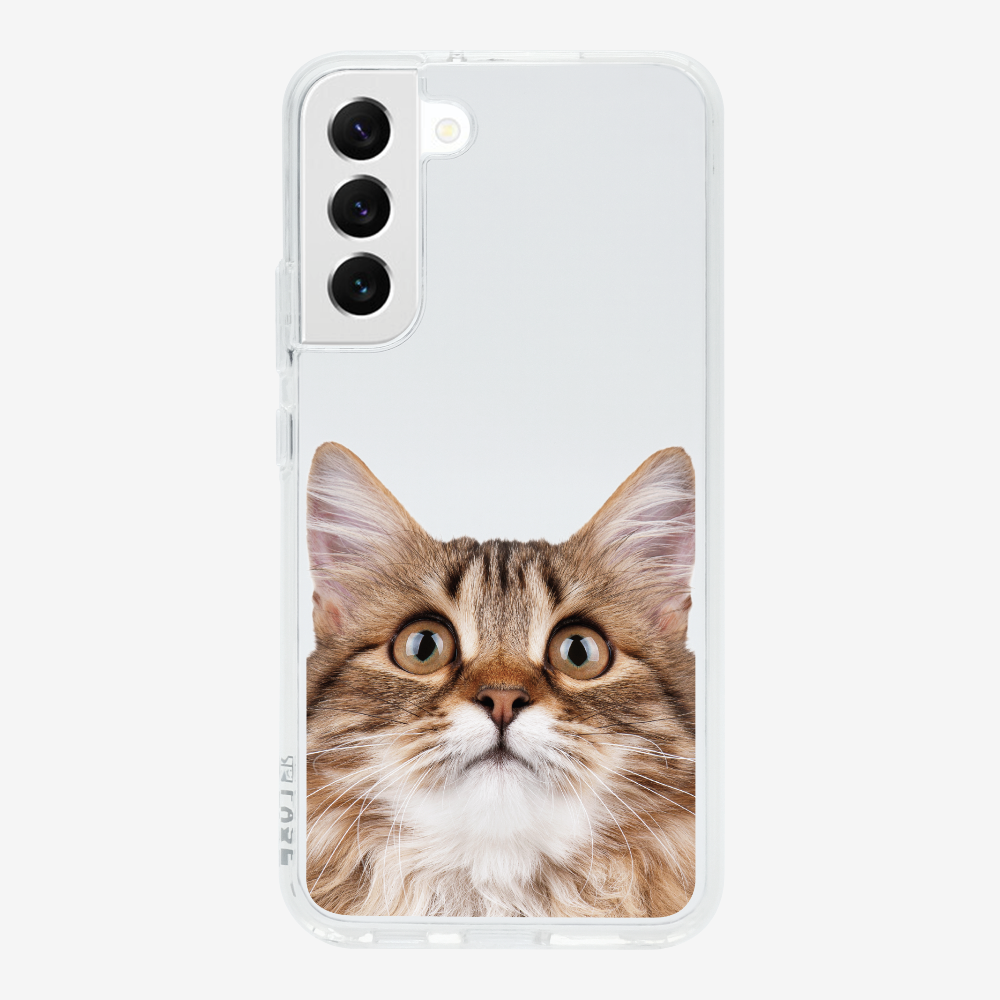 Long-haired Kitten (Transparent) Phone Case