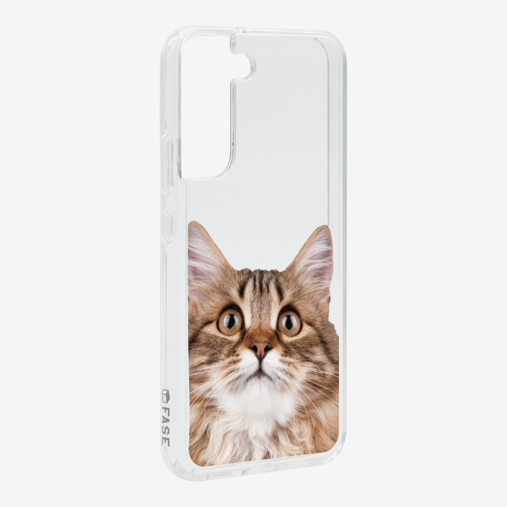 Long-haired Kitten (Transparent) Phone Case