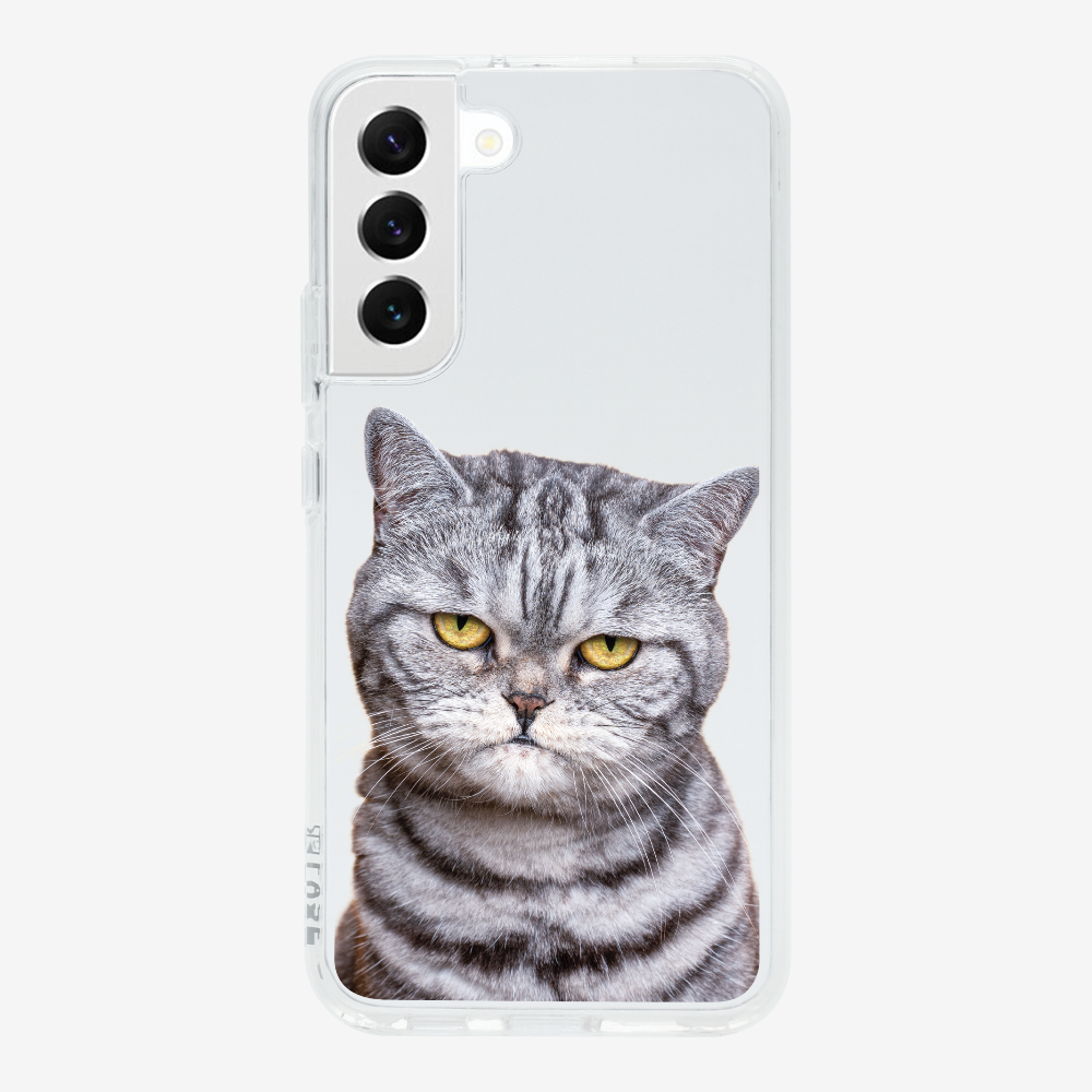 Silver Tabby (Transparent) Phone Case