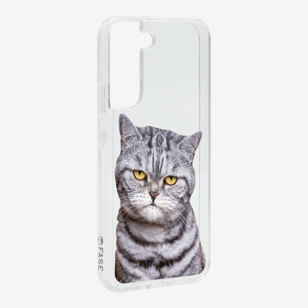 Silver Tabby (Transparent) Phone Case