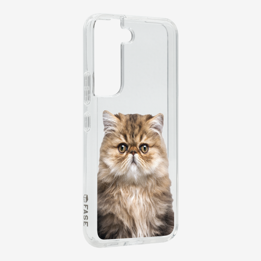 Persian Kitten (Transparent) Phone Case