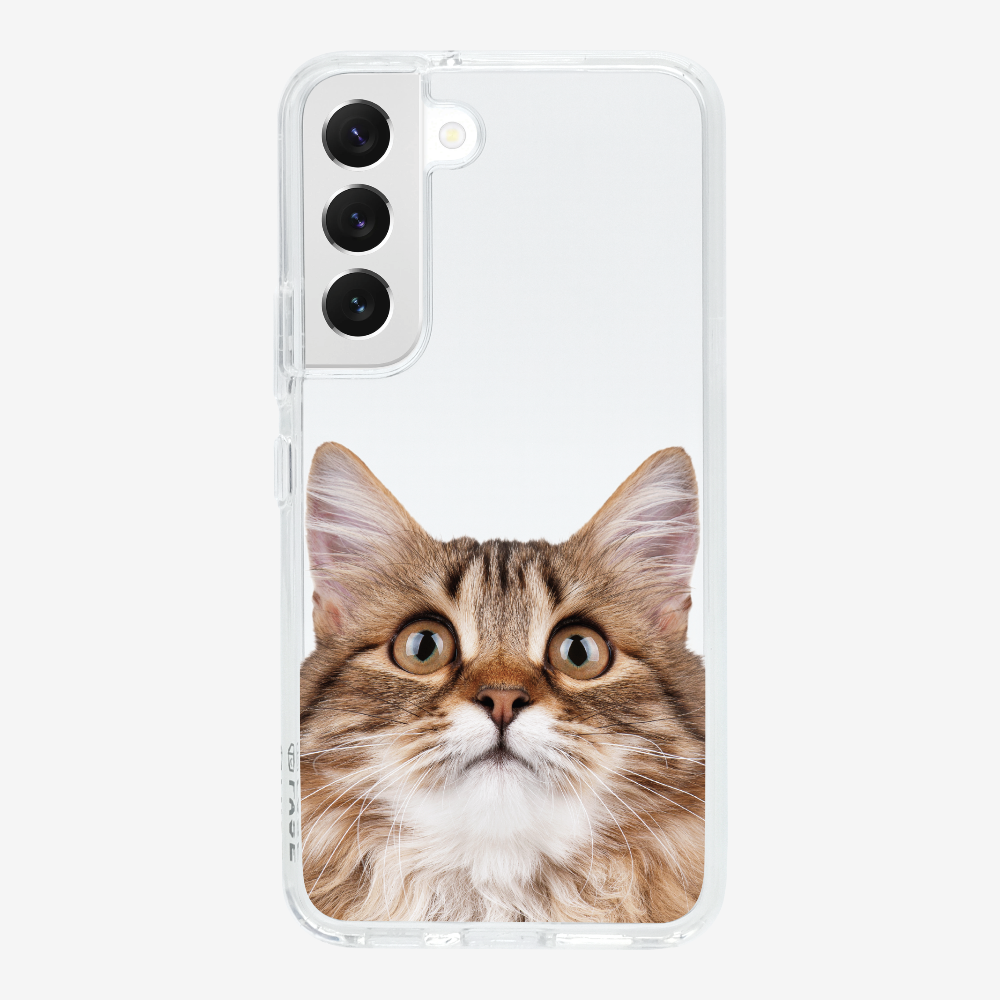 Long-haired Kitten (Transparent) Phone Case