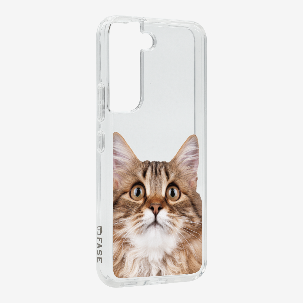 Long-haired Kitten (Transparent) Phone Case