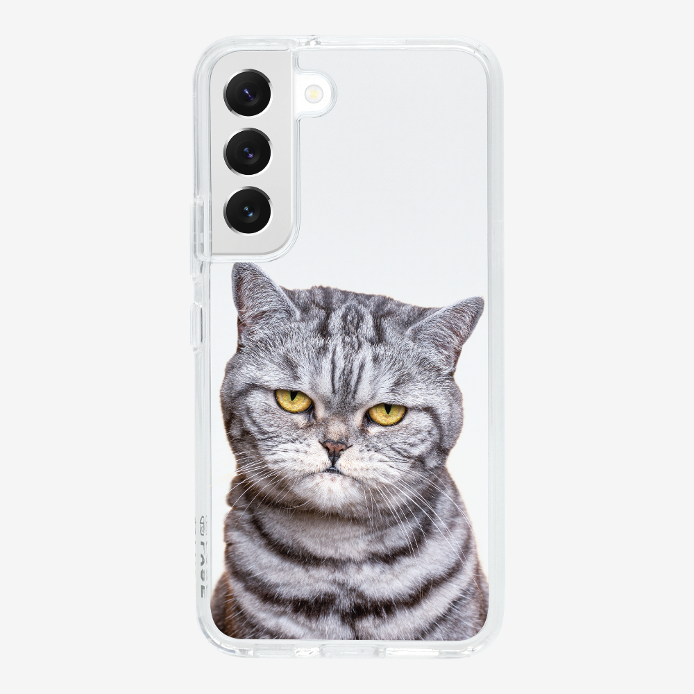 Silver Tabby (Transparent) Phone Case