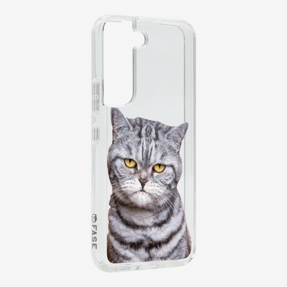 Silver Tabby (Transparent) Phone Case