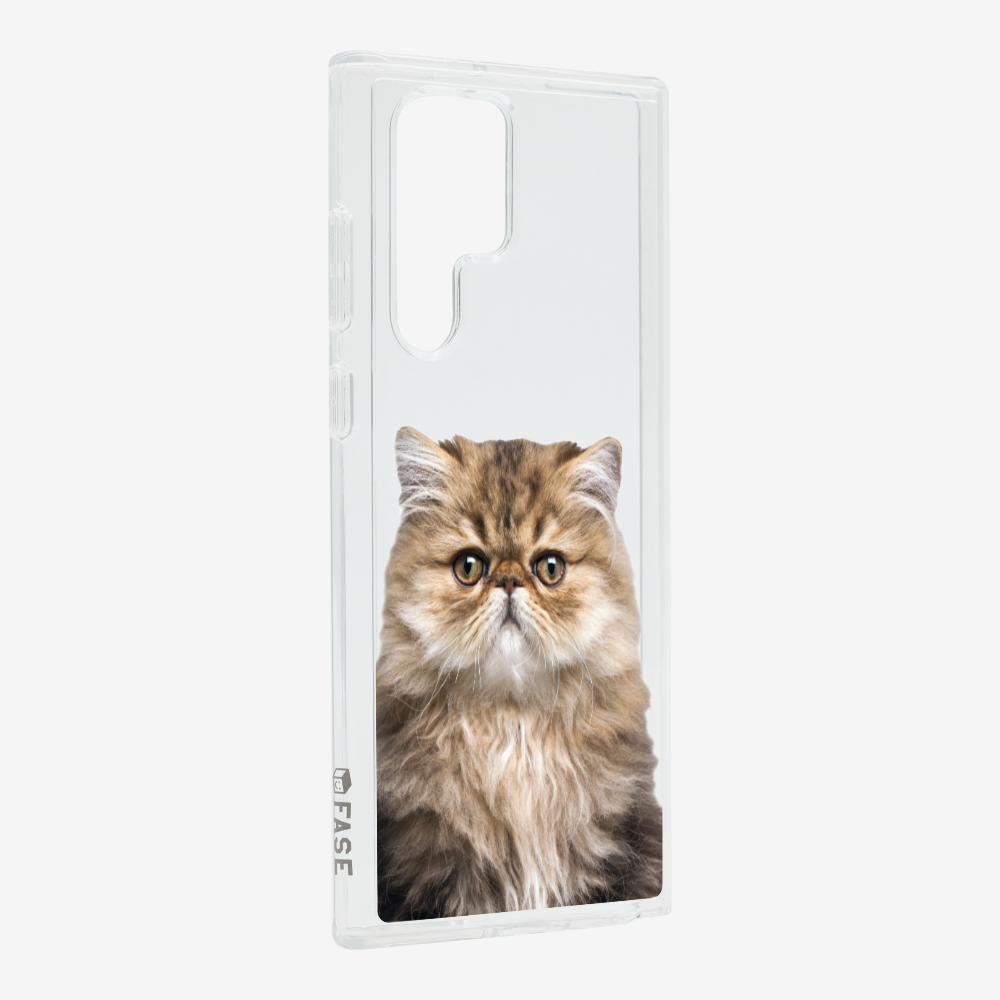 Persian Kitten (Transparent) Phone Case