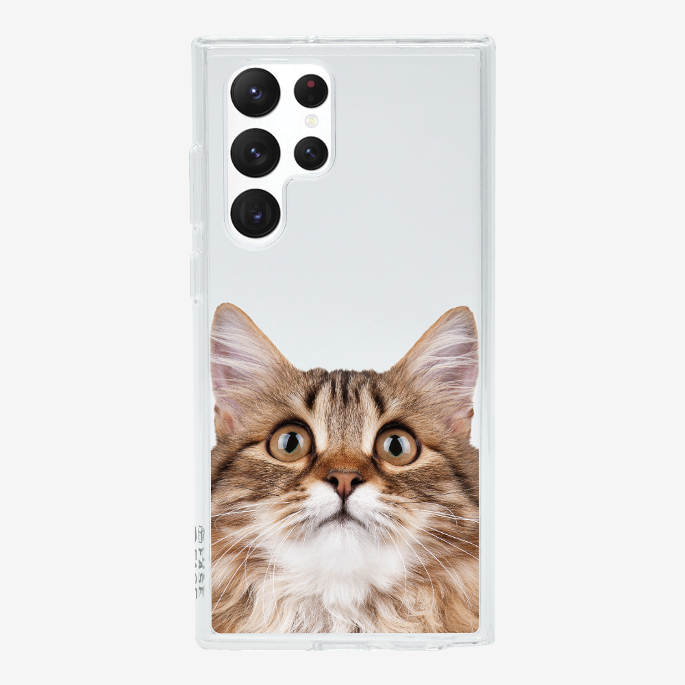 Long-haired Kitten (Transparent) Phone Case