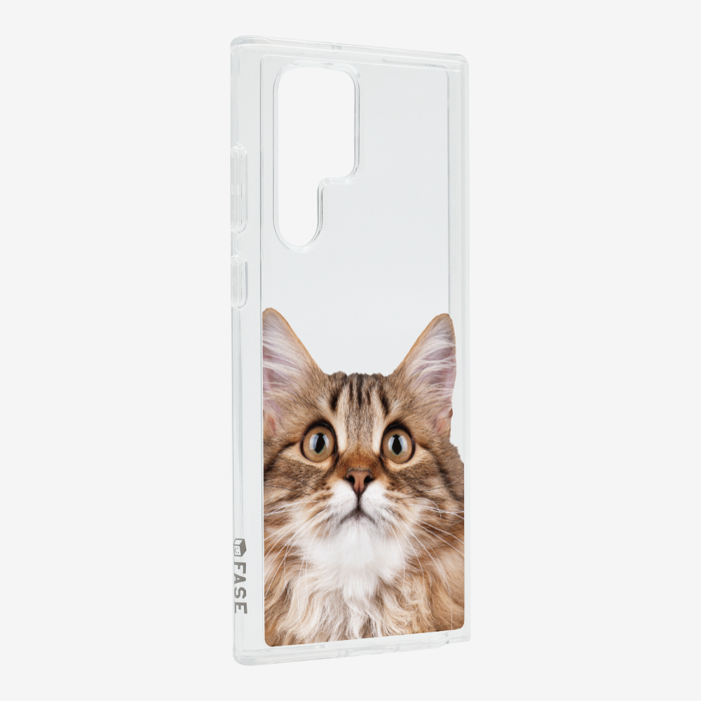 Long-haired Kitten (Transparent) Phone Case