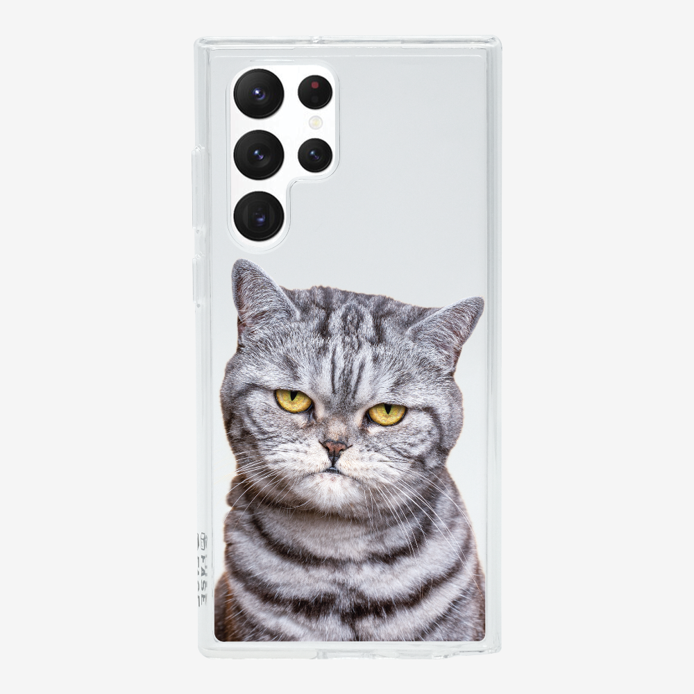 Silver Tabby (Transparent) Phone Case