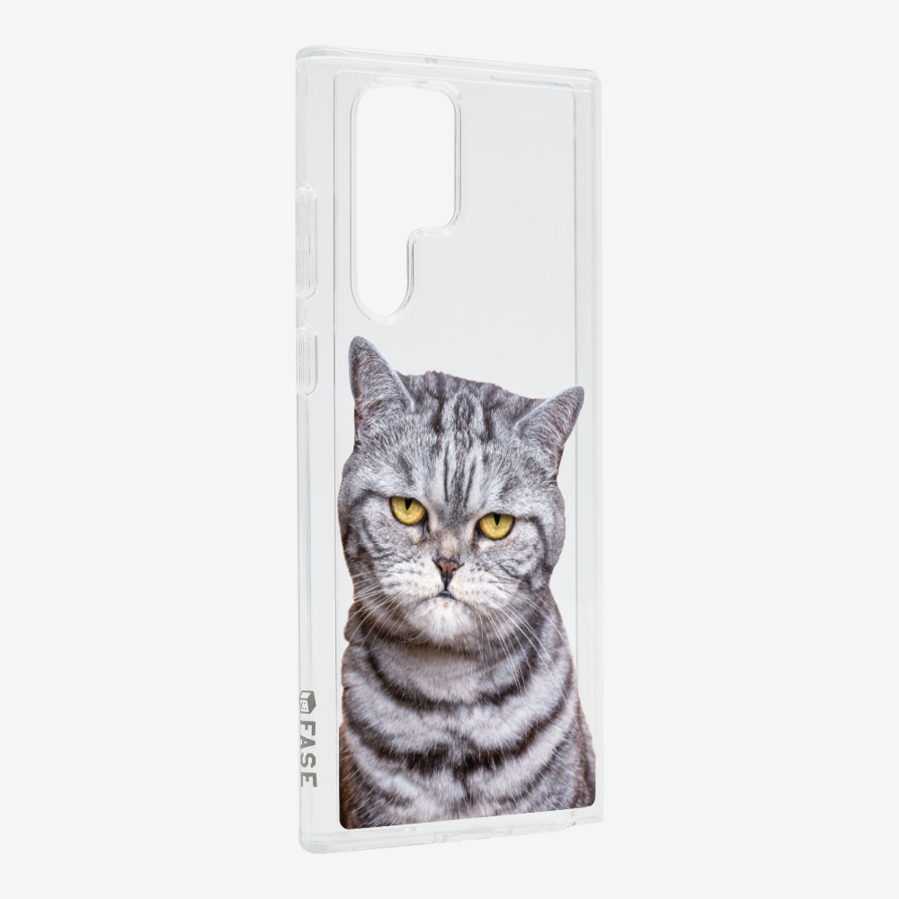 Silver Tabby (Transparent) Phone Case