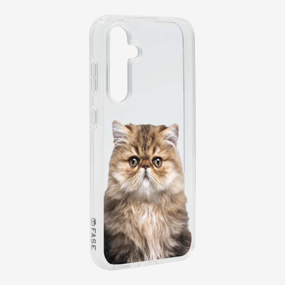 Persian Kitten (Transparent) Phone Case