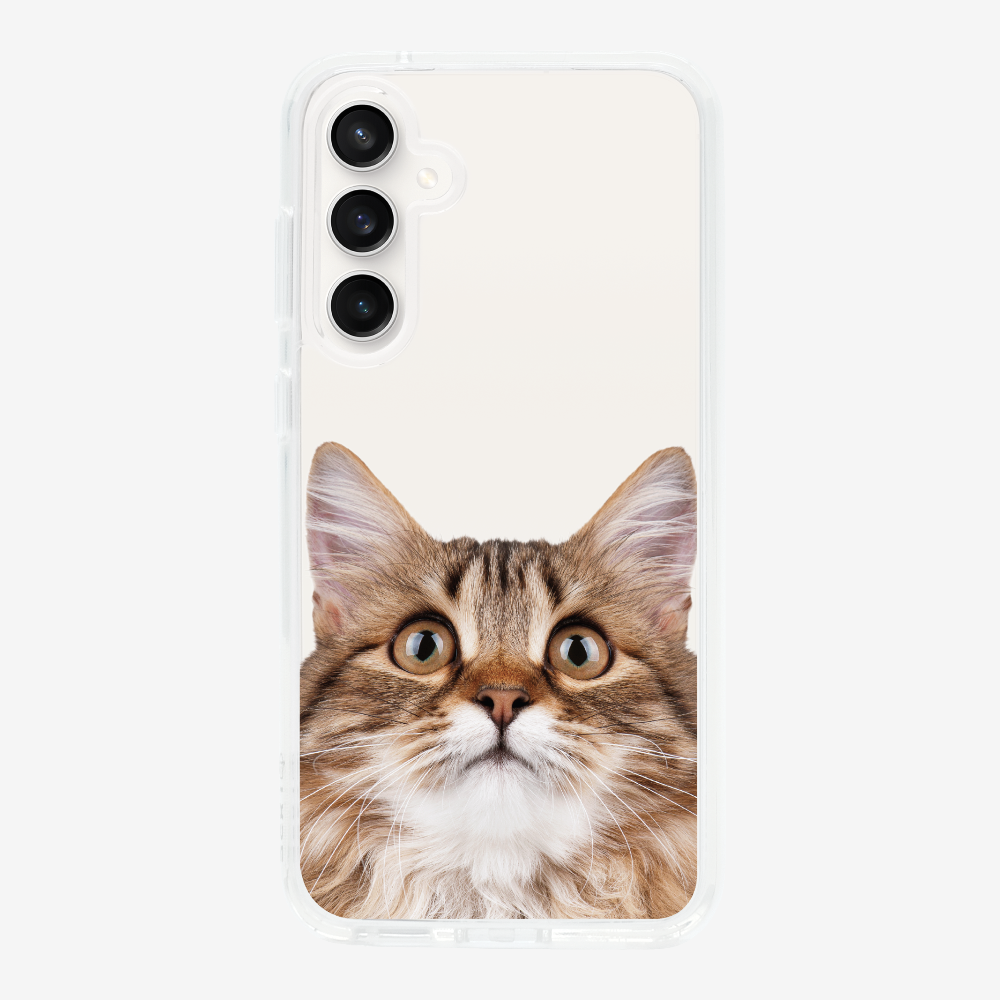 Long-haired Kitten (Transparent) Phone Case