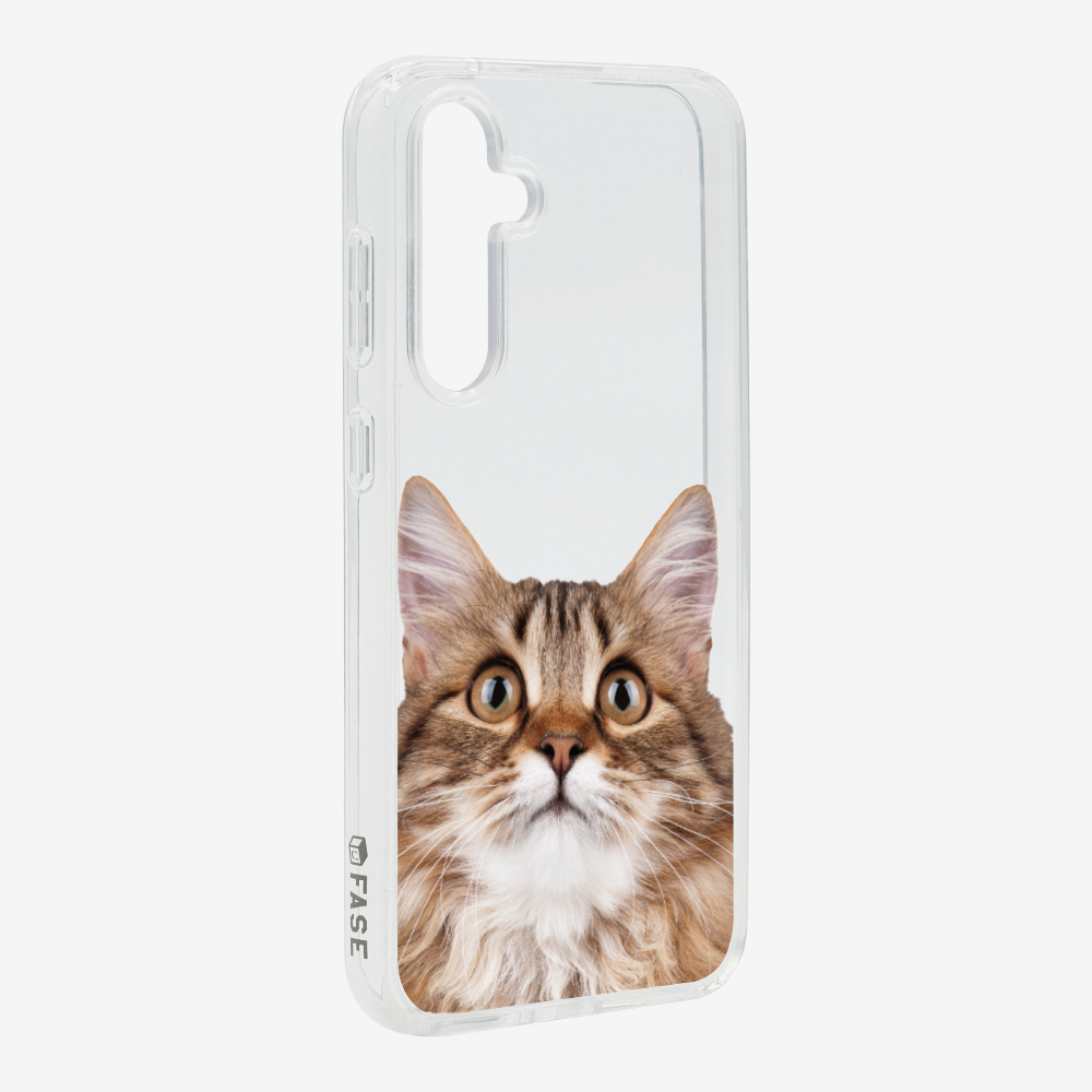 Long-haired Kitten (Transparent) Phone Case