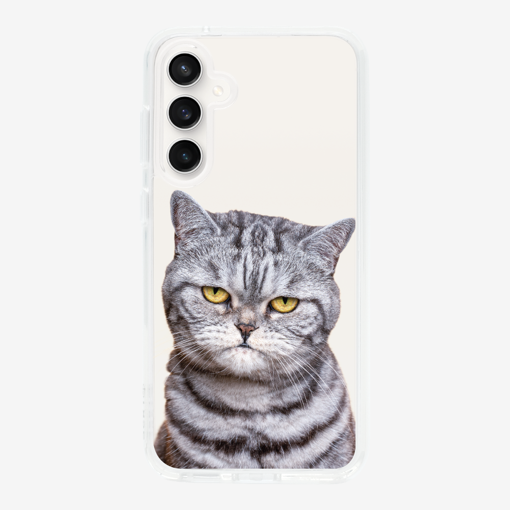 Silver Tabby (Transparent) Phone Case