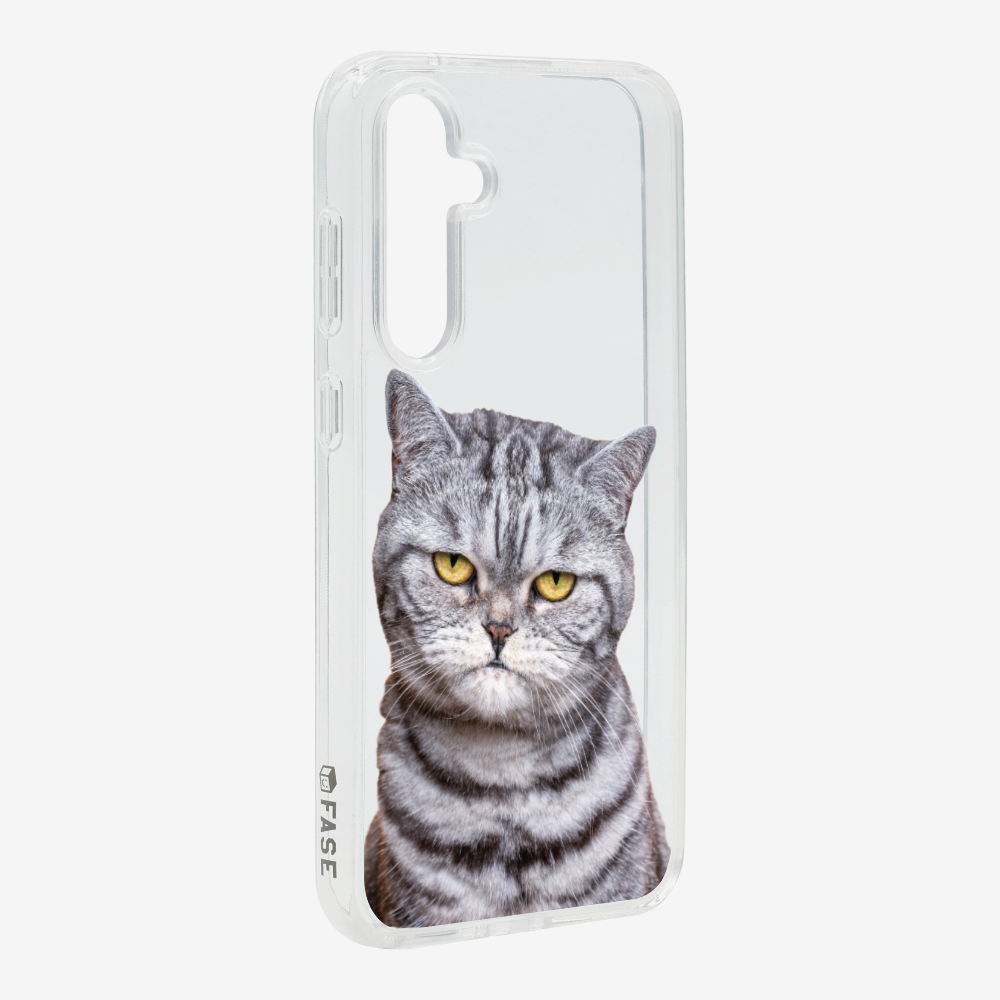 Silver Tabby (Transparent) Phone Case