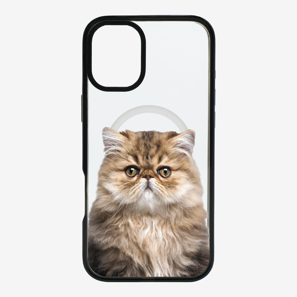 Persian Kitten (Transparent) Phone Case