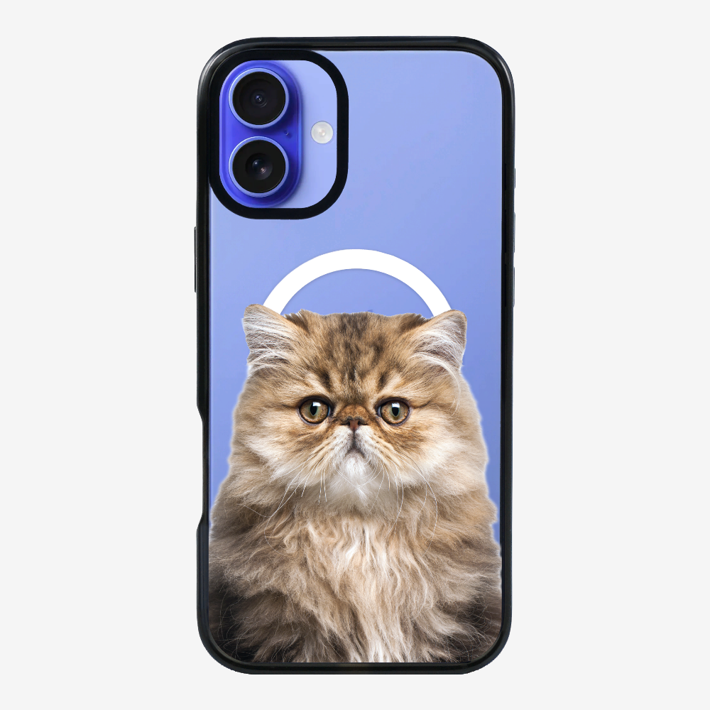 Persian Kitten (Transparent) Phone Case