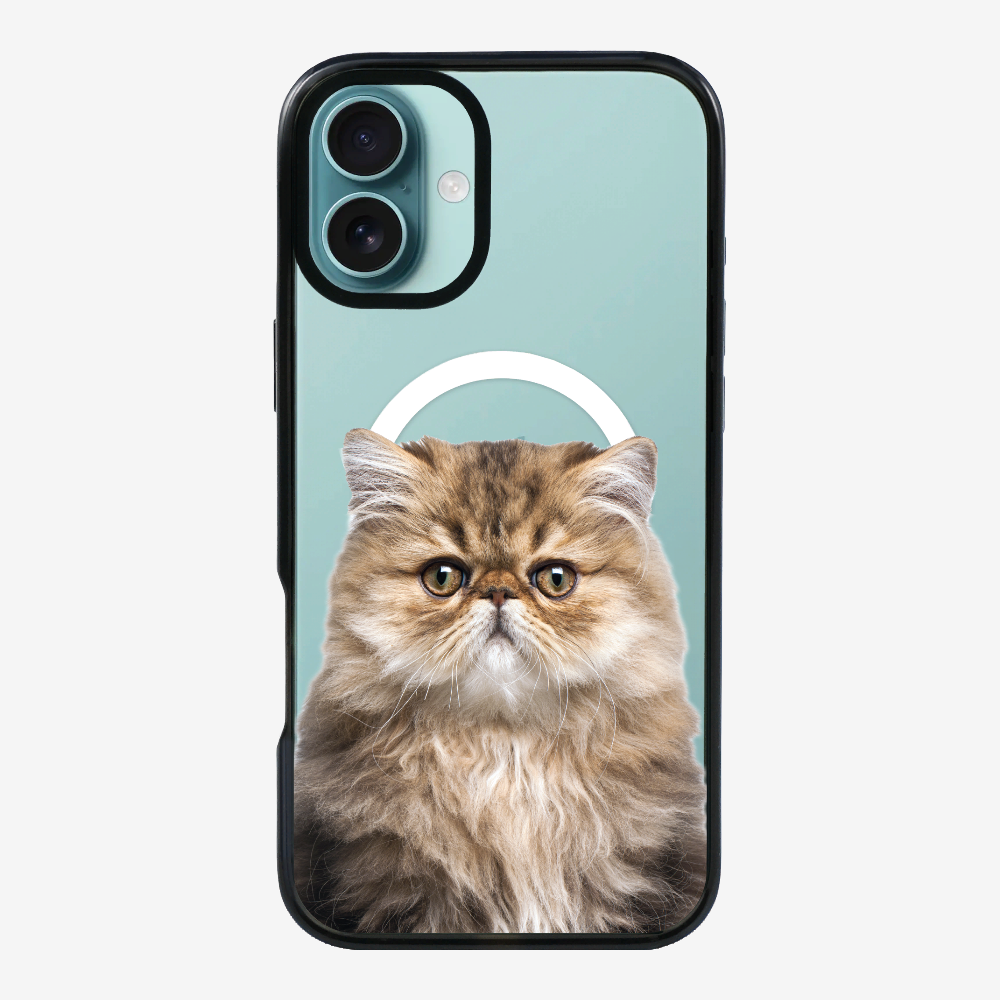 Persian Kitten (Transparent) Phone Case