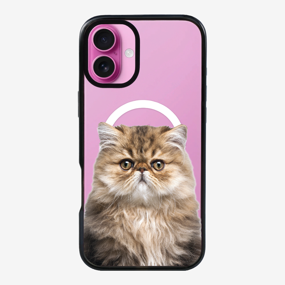 Persian Kitten (Transparent) Phone Case