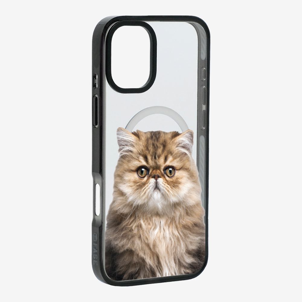 Persian Kitten (Transparent) Phone Case