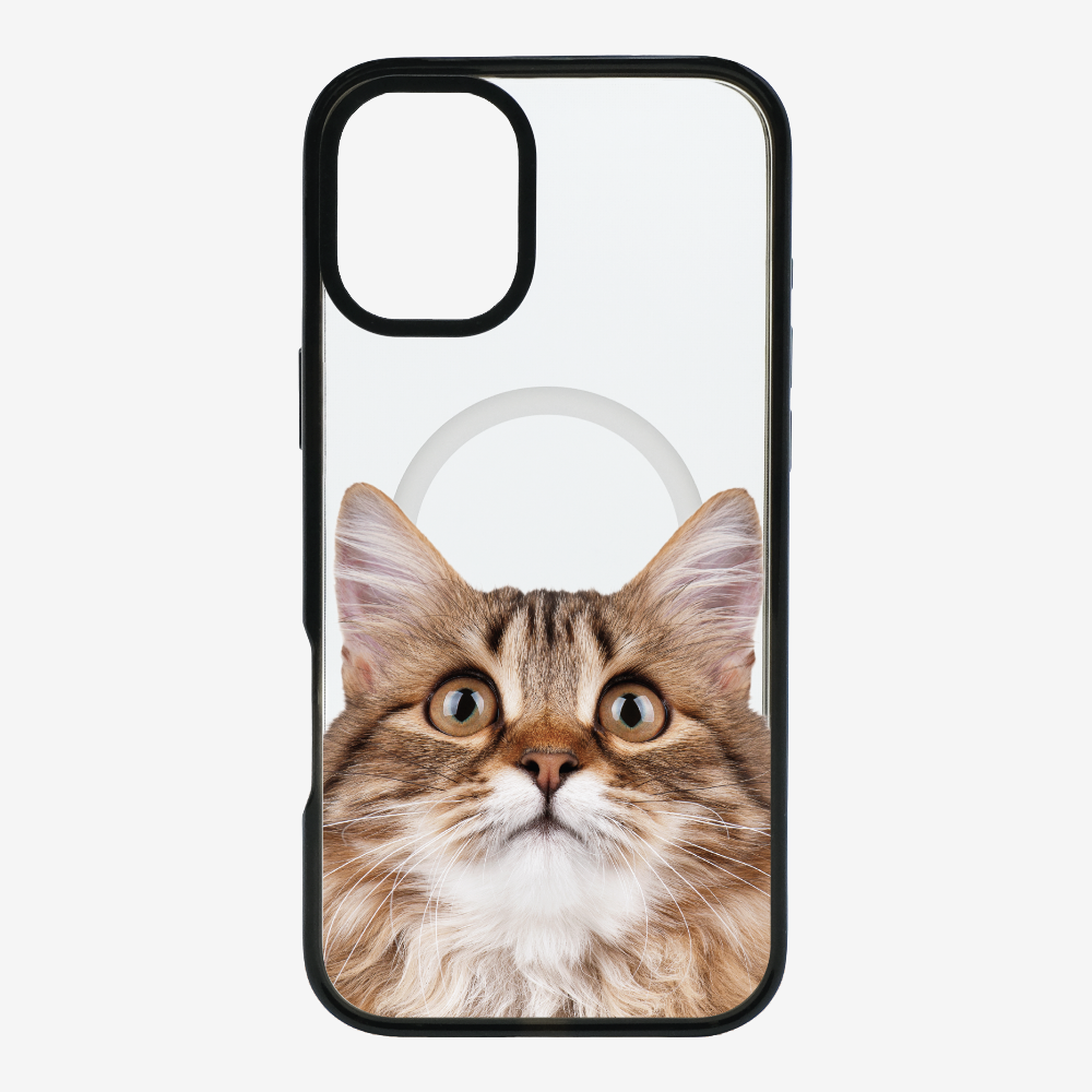 Long-haired Kitten (Transparent) Phone Case