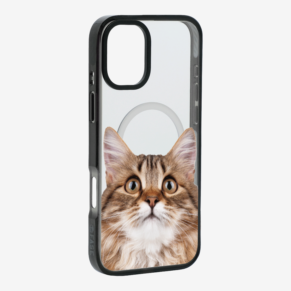 Long-haired Kitten (Transparent) Phone Case