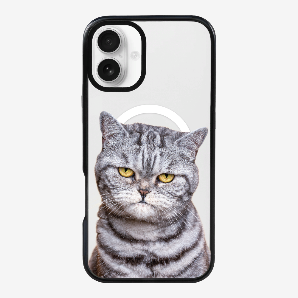 Silver Tabby (Transparent) Phone Case