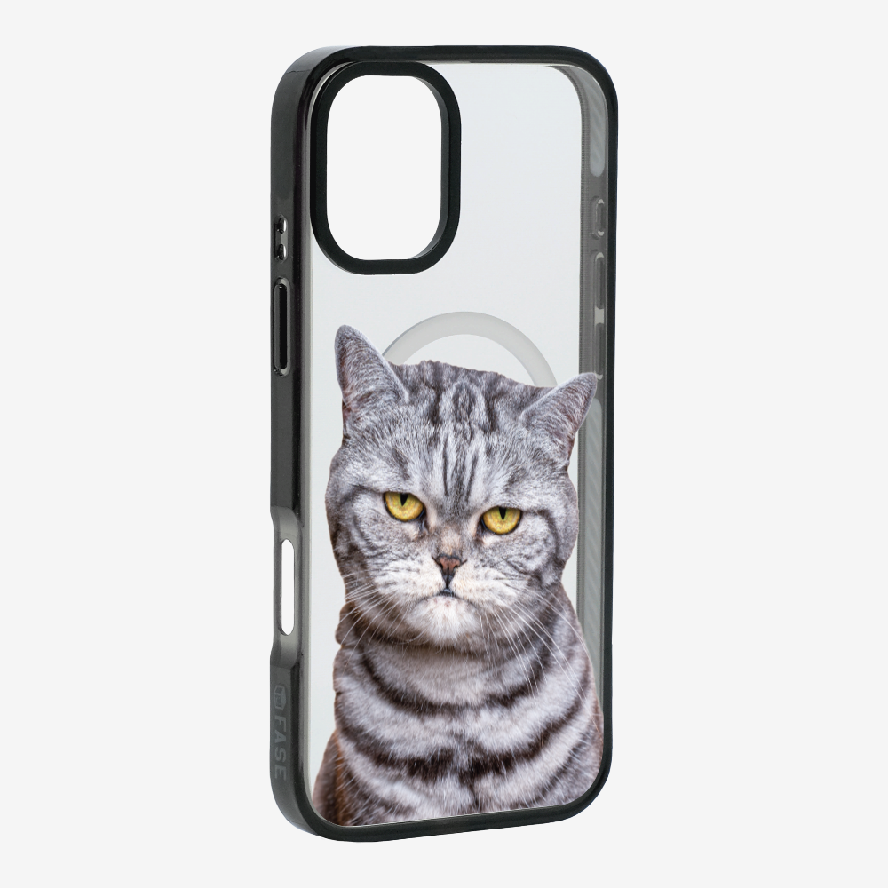 Silver Tabby (Transparent) Phone Case